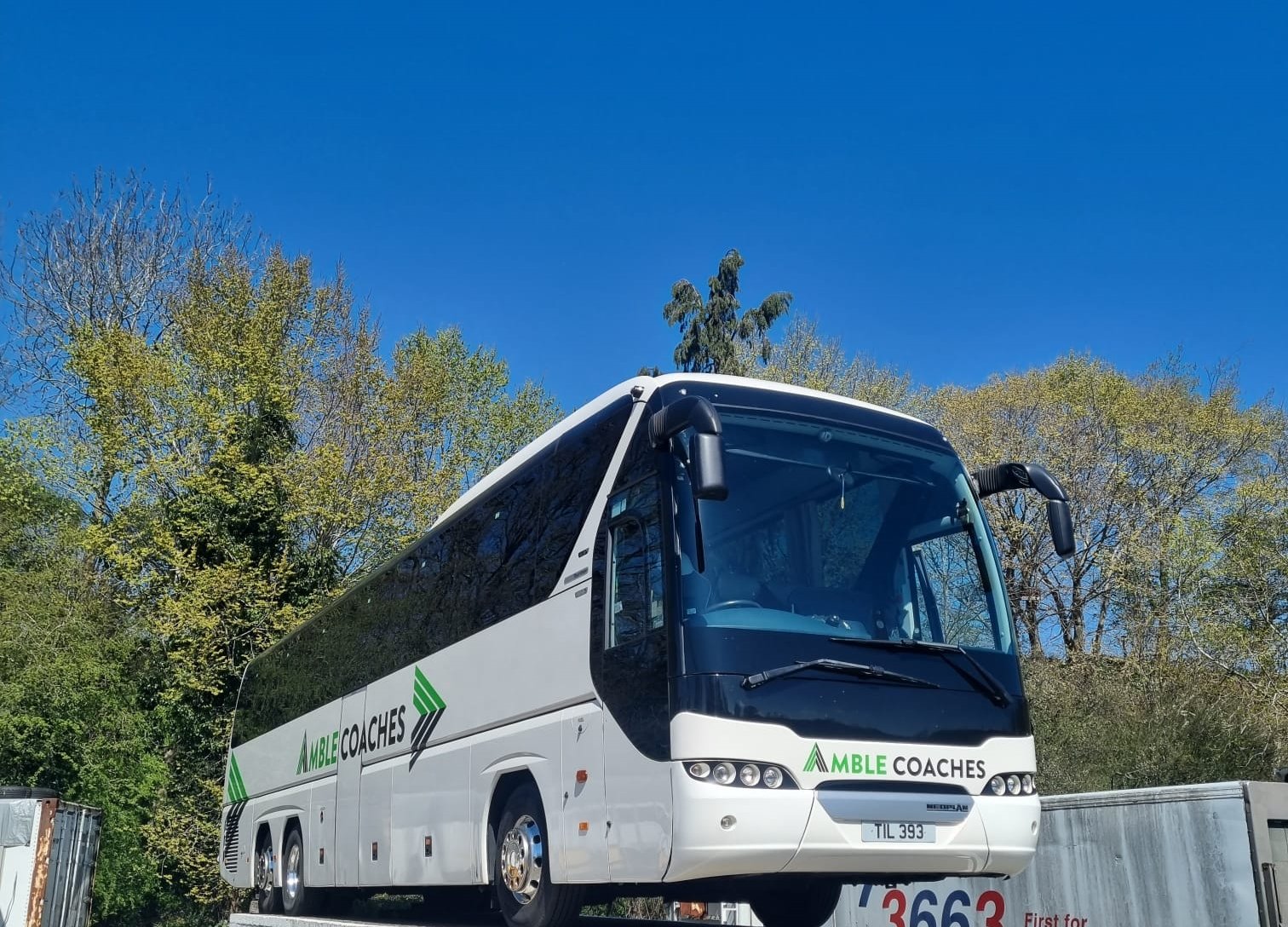 Amble Coaches