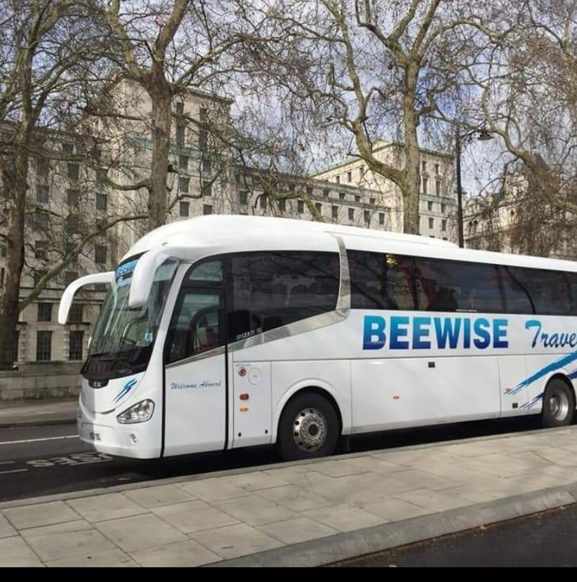 Beewise Executive Travel