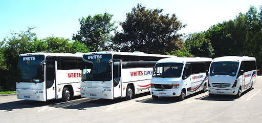 Whites Coaches Ltd