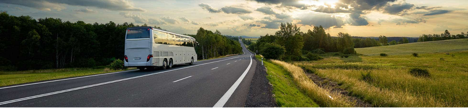 UK Mini Bus Travel TA Platinum Coach Hire Ltd