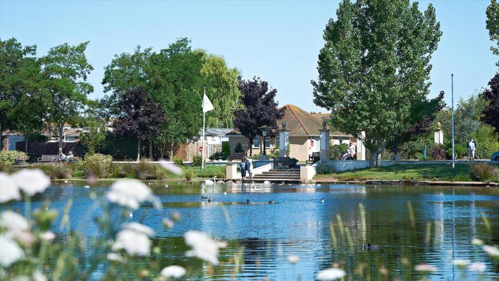 Grayshells Travel Ltd