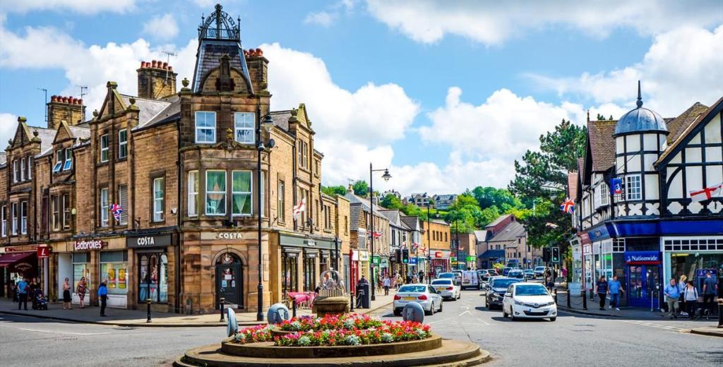 Grayshells Travel Ltd