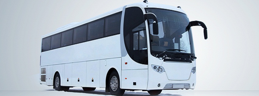 Michael Shaw Coaches